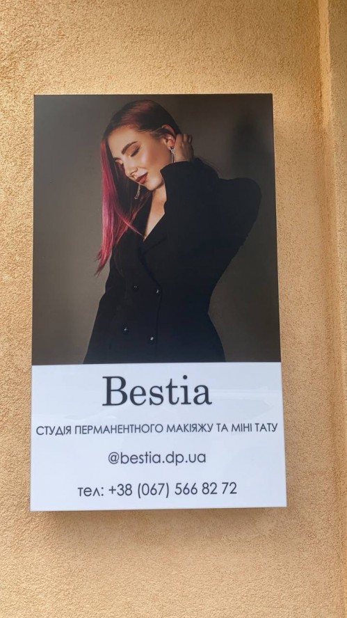 Лайтбокс для студии перманентного макияжа "Bestia"