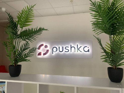 Интерьерный логотип для IT-компании "Pushka"
